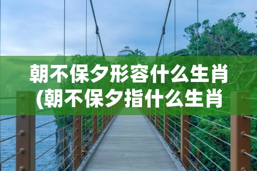 朝不保夕形容什么生肖(朝不保夕指什么生肖)