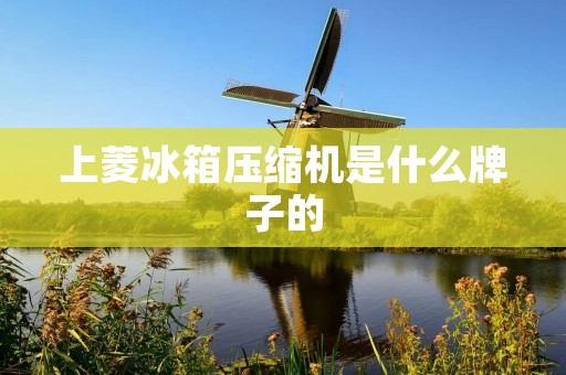上菱冰箱压缩机是什么牌子的