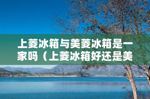 上菱冰箱与美菱冰箱是一家吗(上菱冰箱好还是美菱冰箱好)