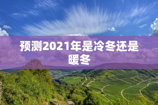 预测2021年是冷冬还是暖冬