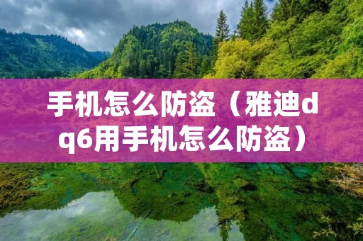 手机怎么防盗（雅迪dq6用手机怎么防盗）