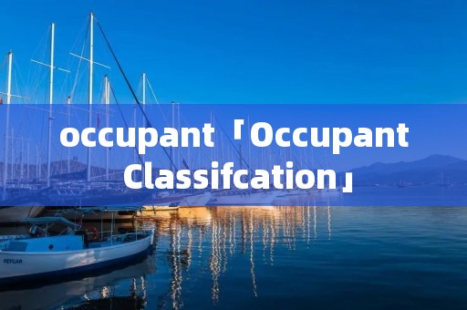 occupant「Occupant Classifcation」 occupant「Occupant Classifcation」