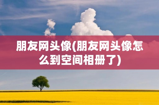 朋友网头像(朋友网头像怎么到空间相册了)