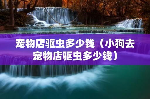 宠物店驱虫多少钱（小狗去宠物店驱虫多少钱）