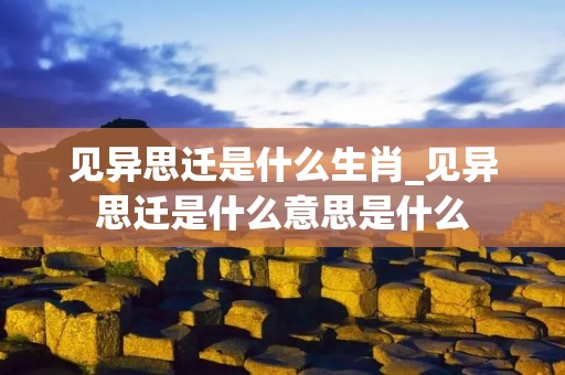见异思迁是什么生肖_见异思迁是什么意思是什么
