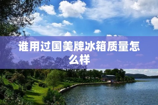 谁用过国美牌冰箱质量怎么样