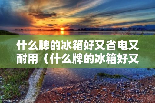 什么牌的冰箱好又省电又耐用(什么牌的冰箱好又省电又耐用商用)
