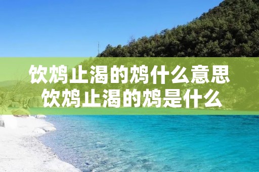 饮鸩止渴的鸩什么意思 饮鸩止渴的鸩是什么意思怎么写
