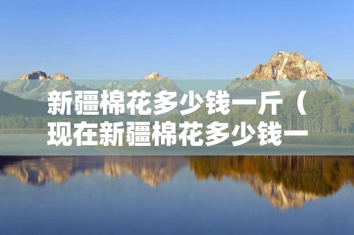 新疆棉花多少钱一斤（现在新疆棉花多少钱一斤）