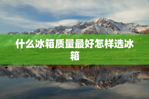 什么冰箱质量最好怎样选冰箱
