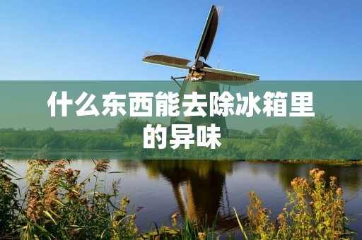 什么东西能去除冰箱里的异味
