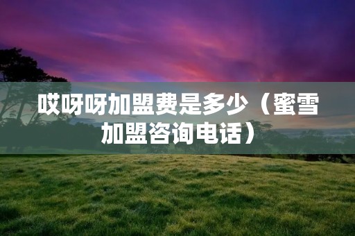 哎呀呀加盟费是多少(蜜雪加盟咨询**) 哎呀呀加盟费是多少(蜜雪加盟咨询**)