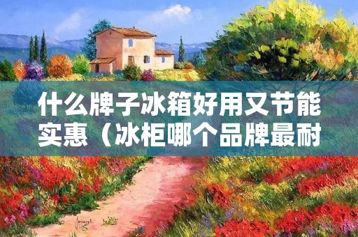 什么牌子冰箱好用又节能实惠(冰柜哪个品牌最耐用质量好)