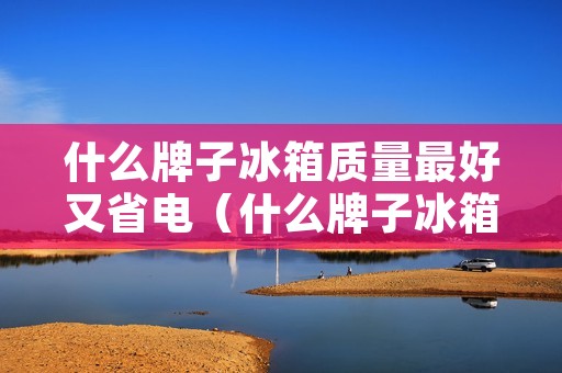 什么牌子冰箱质量最好又省电(什么牌子冰箱质量最好又省电又耐用)