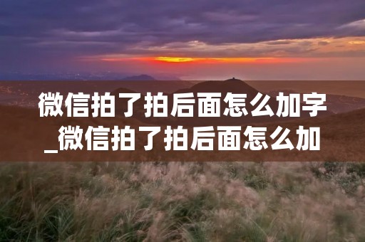 微信拍了拍后面怎么加字_微信拍了拍后面怎么加字搞笑