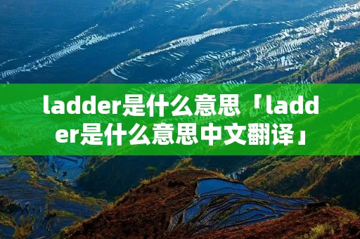ladder是什么意思「ladder是什么意思中文翻译」