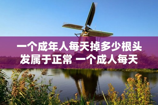 一个成年人每天掉多少根头发属于正常 一个成人每天掉多少根头发属于正常现象 一个成年人每天掉多少根头发属于正常 一个成人每天掉多少根头发属于正常现象