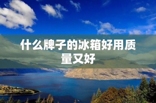 什么牌子的冰箱好用质量又好