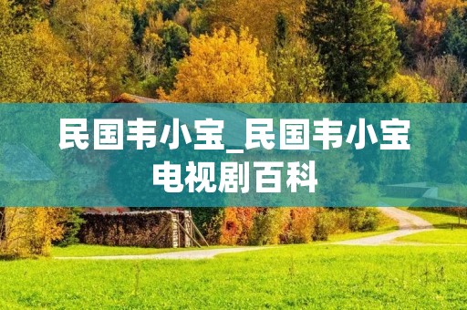 民国韦小宝_民国韦小宝电视剧百科 民国韦小宝_民国韦小宝电视剧百科
