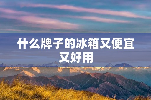 什么牌子的冰箱又便宜又好用