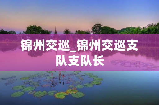 锦州交巡_锦州交巡支队支队长
