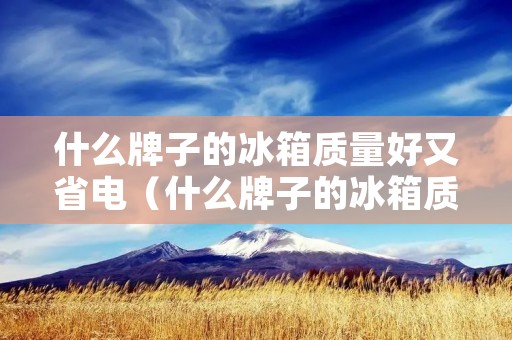 什么牌子的冰箱质量好又省电(什么牌子的冰箱质量好又省电又省电)