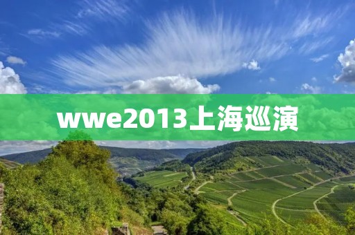 wwe2013上海巡演 wwe2013上海巡演