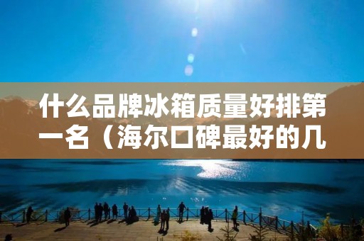 什么品牌冰箱质量好排第一名(海尔口碑最好的几款冰箱)