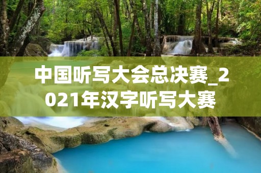 中国听写大会总决赛_2021年汉字听写大赛