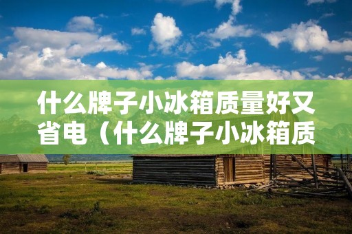 什么牌子小冰箱质量好又省电(什么牌子小冰箱质量好又省电又省电)