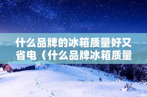 什么品牌的冰箱质量好又省电(什么品牌冰箱质量好又省电耐用)