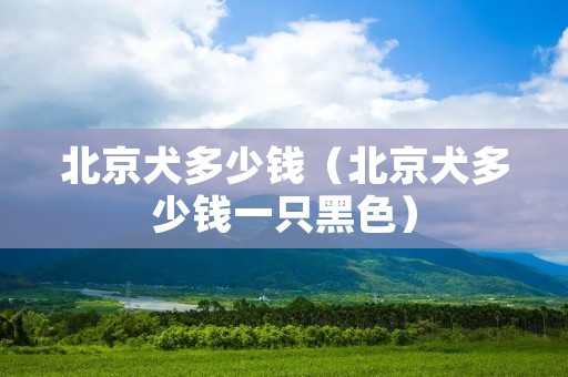 北京犬多少钱（北京犬多少钱一只黑色）