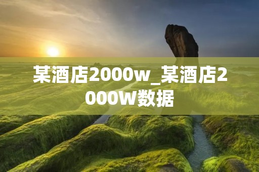 某酒店2000w_某酒店2000W数据