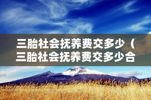 三胎社会抚养费交多少（三胎社会抚养费交多少合适）