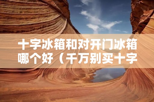 十字冰箱和对开门冰箱哪个好(千万别买十字门冰箱)