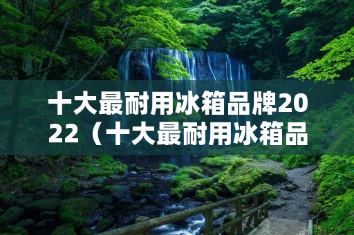 十大最耐用冰箱品牌2022(十大最耐用冰箱品牌2022排行榜)
