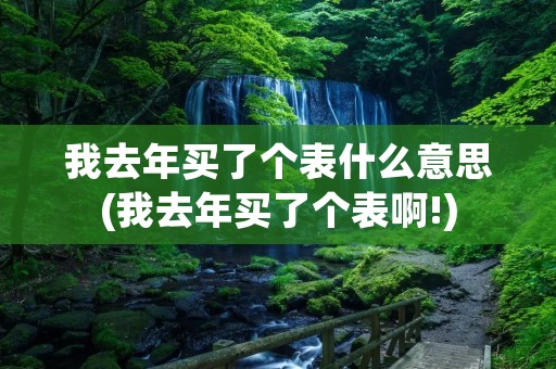 我去年买了个表什么意思(我去年买了个表啊!)