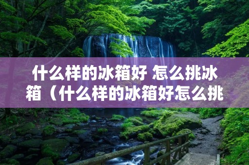 什么样的冰箱好 怎么挑冰箱(什么样的冰箱好怎么挑冰箱)