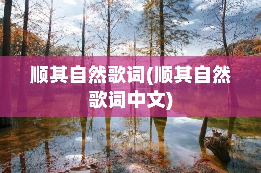 顺其自然歌词(顺其自然歌词中文)