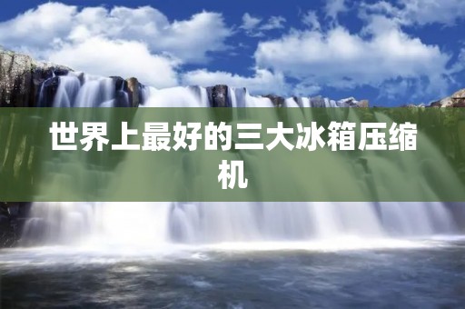世界上最好的三大冰箱压缩机