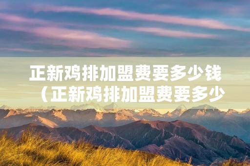 正新鸡排加盟费要多少钱（正新鸡排加盟费要多少钱2021年）