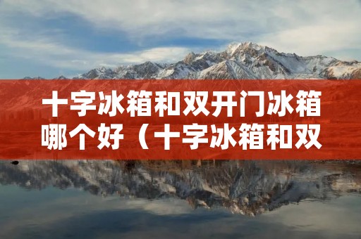 十字冰箱和双开门冰箱哪个好(十字冰箱和双开门冰箱哪个好看一点)