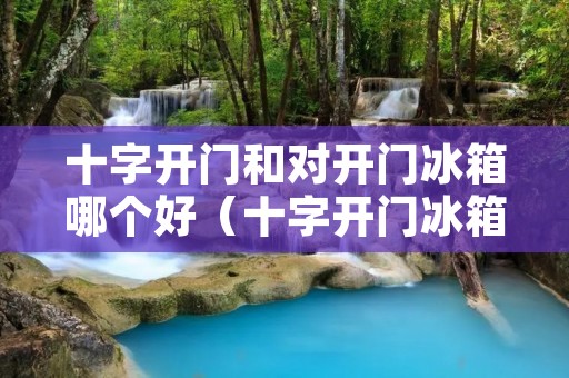 十字开门和对开门冰箱哪个好(十字开门冰箱哪个品牌好)