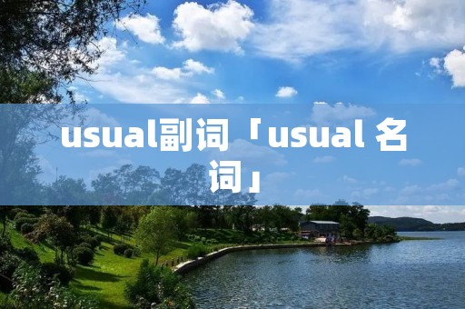 usual副词「usual 名词」