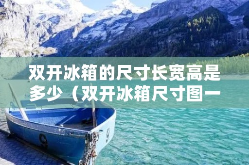 双开冰箱的尺寸长宽高是多少(双开冰箱尺寸图一般有多宽)
