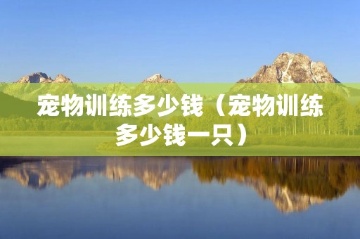 宠物训练多少钱（宠物训练多少钱一只）