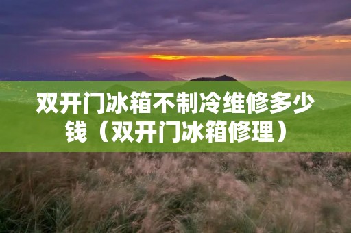 双开门冰箱不制冷维修多少钱(双开门冰箱修理)