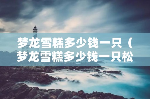 梦龙雪糕多少钱一只（梦龙雪糕多少钱一只松露巧克力）