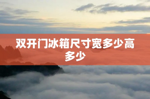 双开门冰箱尺寸宽多少高多少