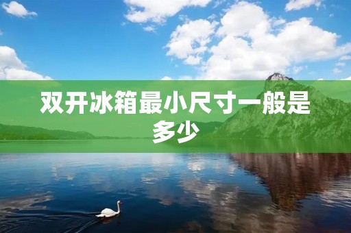 双开冰箱最小尺寸一般是多少